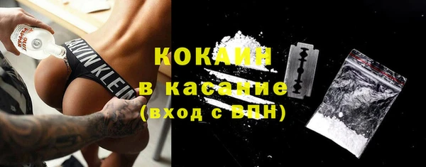 индика Алексеевка