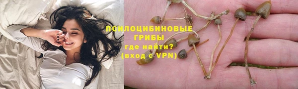 ГАЛЛЮЦИНОГЕННЫЕ ГРИБЫ Алексин