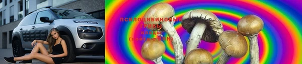 эйфоретик Алзамай