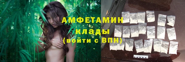 эйфоретик Алзамай